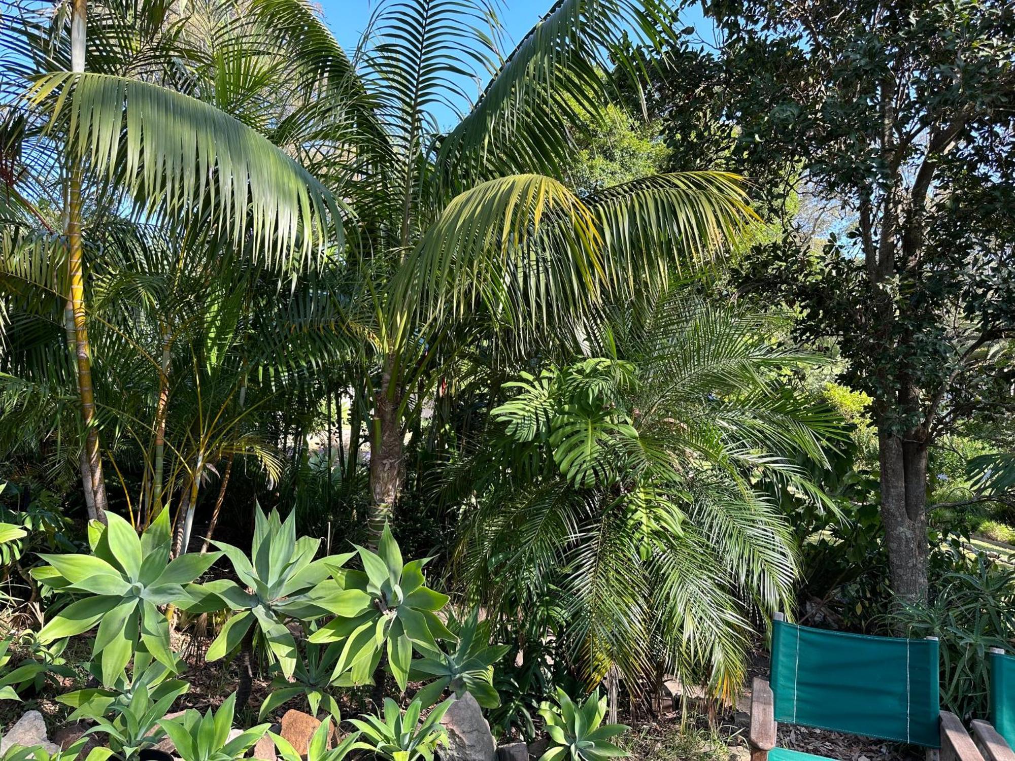 Palm Beach Bed & Breakfast Экстерьер фото